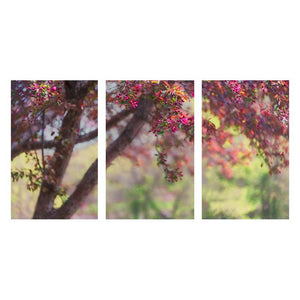 HARMONY