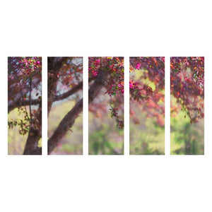 HARMONY