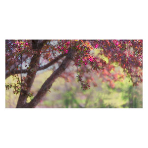 HARMONY