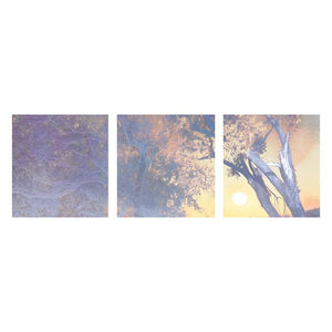 PROLOGUE