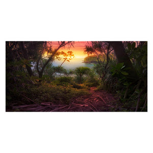 AMBIENT