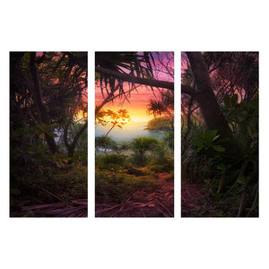 AMBIENT