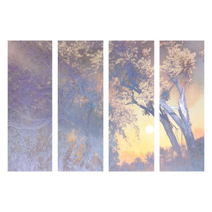PROLOGUE