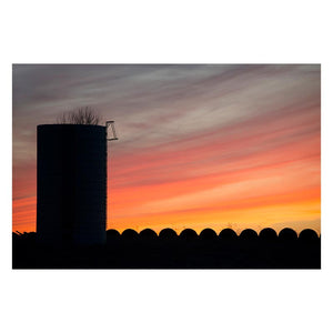 HOMESTEAD