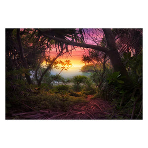 AMBIENT