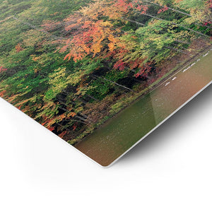 PREAMBLE