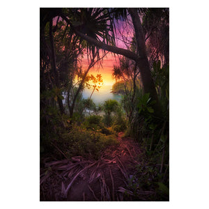 AMBIENT