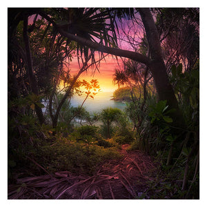 AMBIENT