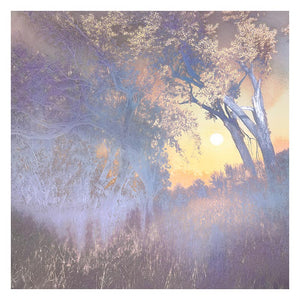 PROLOGUE