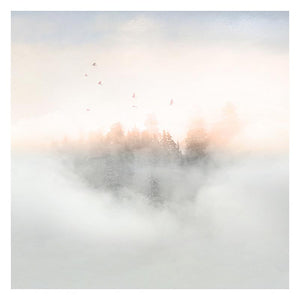 ATMOSPHERIC