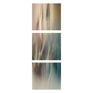 DISSONANCE