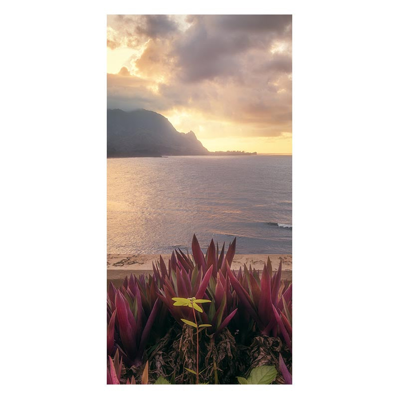 Epic Kauai Sunset - Franklin Arts