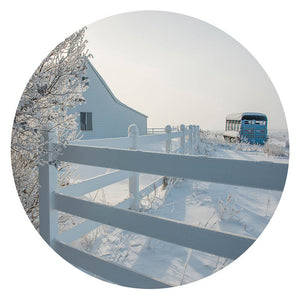 SNOWCAPPED