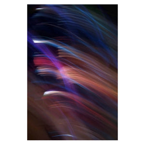 LUCID