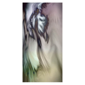 GALLIVANT