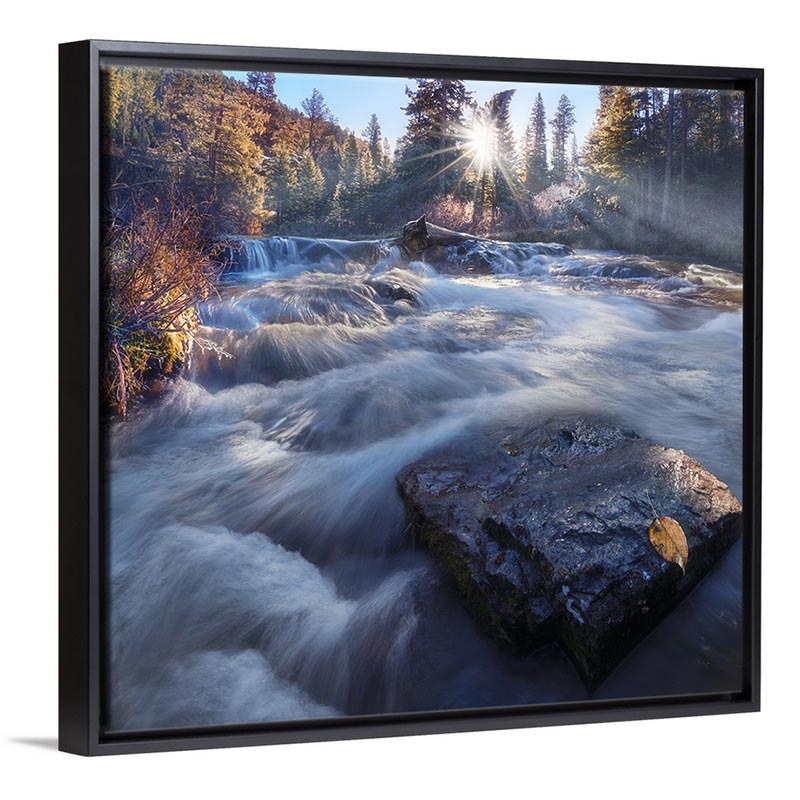 Fall Stream Frame Rushing Autumn Stream Picture - Franklin Arts
