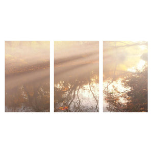 SEARCHLIGHT