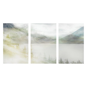 VANISH