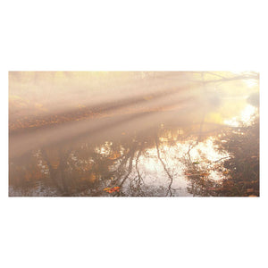 SEARCHLIGHT
