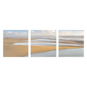 TRACES
