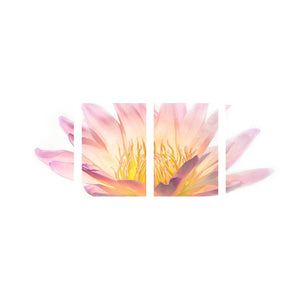 FLOURISH
