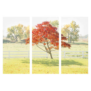 RESIDENTS