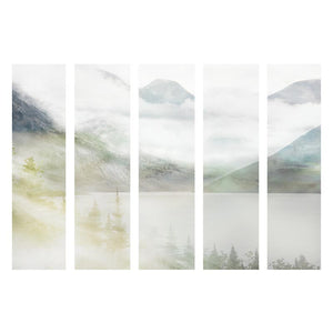 VANISH