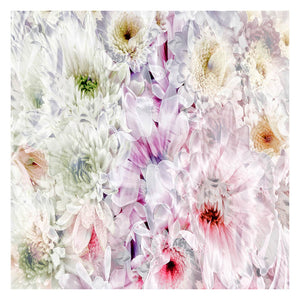PETALS