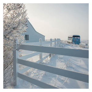 SNOWCAPPED