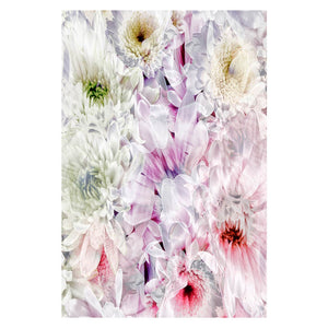 PETALS