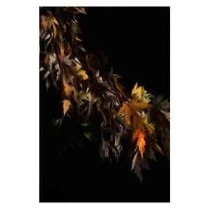 PIGMENT