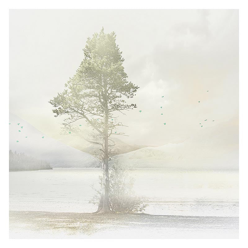 Painterly Tree Artwork - Franklin Arts