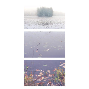 FACTION