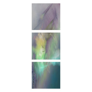 PLUME
